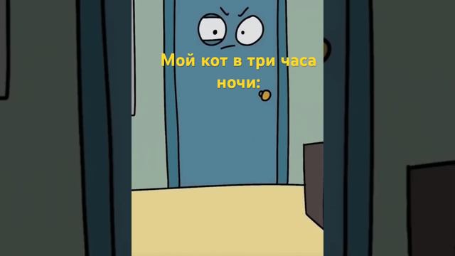 Что мой кот делает ночью смотреть онлайн