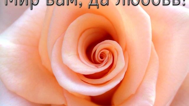 С Днем Свадьбы ! Поздравительная видео открытка молодоженам. смотреть онлайн