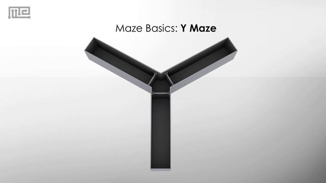 Y maze: A Study in Spatial Learning and Memory смотреть онлайн