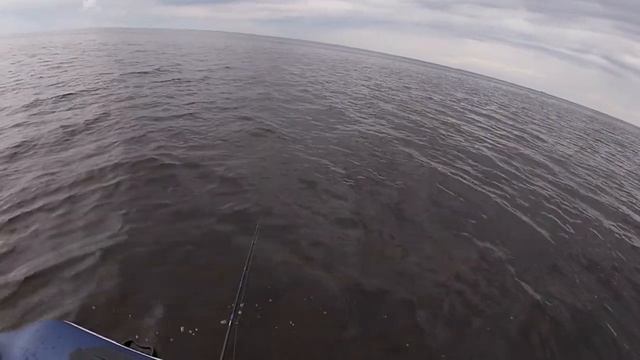 За судаком! Рыбалка на спиннинг. Рыбинском водохранилище! смотреть онлайн