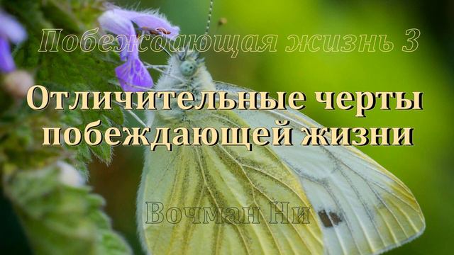 "Отличительны черты побеждающей жизни" Вочман Ни смотреть онлайн