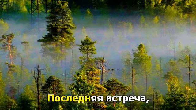Утро туманное смотреть онлайн