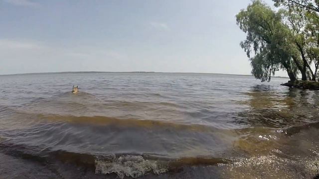 Жаркое лето на Селигере 22 06 2021г смотреть онлайн