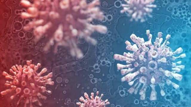 ТОНГАТ АЛИ/ МОИ ЛИЧНЫЕ ОЩУЩЕНИЯ смотреть онлайн