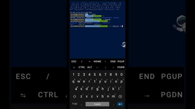WEBSITE SCANNER #termux #hacker смотреть онлайн