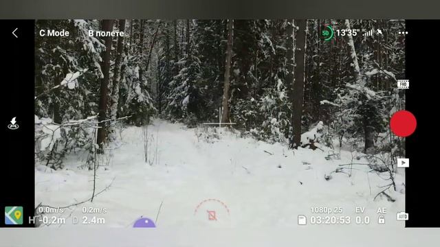 Измерение высоты сосны квадрокоптером смотреть онлайн