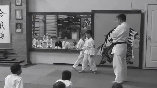 Детская тренировка Айкидо. Kids Aikido. Федерация Айкидо Амурской области. смотреть онлайн