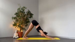 Сурья намаскар | Комплекс приветствия солнцу для начинающих