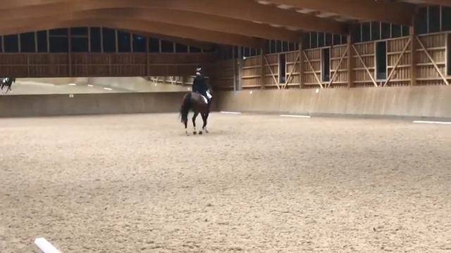 Advanced 102 смотреть онлайн