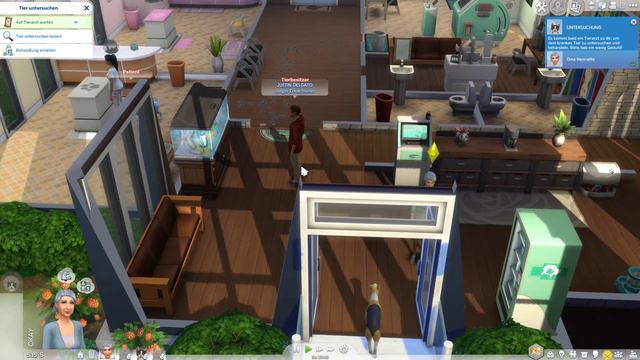 Sims 4 - Katzen retten Oma Challenge #1 - Drei Katzen wollen die kranke Oma retten смотреть онлайн