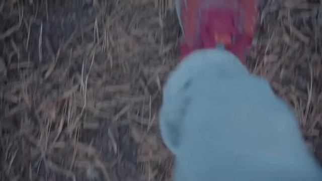 Прогулка по лесу | Walking with a dog in the forest | Cinematic 4K Sony a7c + Tamron 28-75mm f2.8 смотреть онлайн