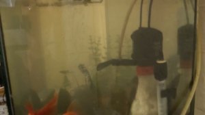 Бесшумная аэрация аквариума через внутренний фильтр (2а способа )