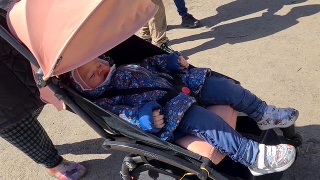 VLOG: Не жилось мне спокойно смотреть онлайн