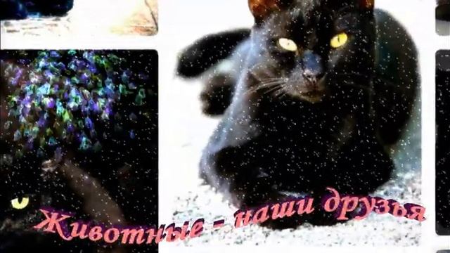 Музыкальная открытка 