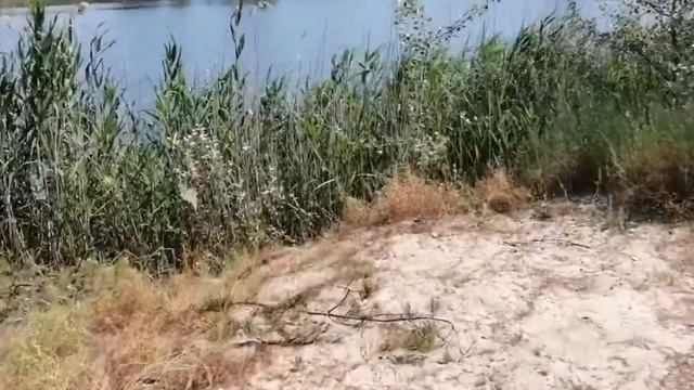 Blue lake, Svitlovodsk city - Блакитне озеро, м.Світловодськ (27.06.21) смотреть онлайн