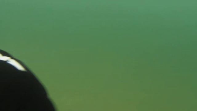 В свободное время #3 freediving смотреть онлайн