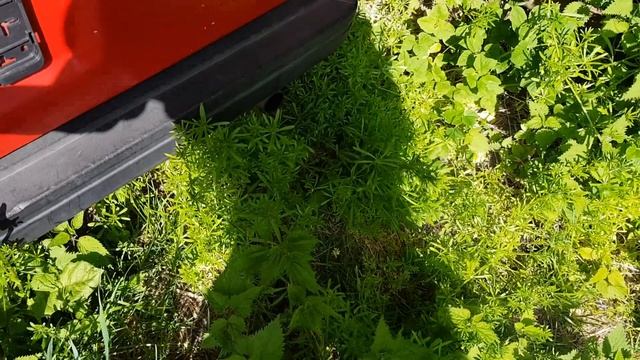 Volvo 940 Turbodiesel/TD/D24TIC Cold Start After 2 Months