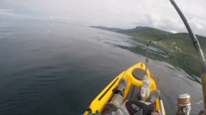 Рыбалка на каяке , Приморье , залив Находка , бухта Сандалянза.  Акулы Бычки и Окунь Терпуг