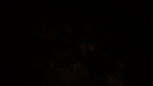 Прайд львов спит ночью! Тайган смотреть онлайн