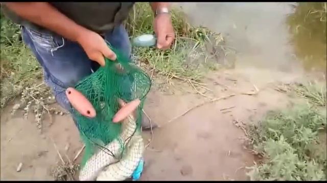 МПС Алматы. Рыбалка на Ворошиловских озерах. 06.07.16. смотреть онлайн