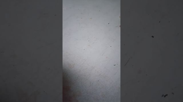 Halls(зачем вообще писать название?! 🤔) смотреть онлайн