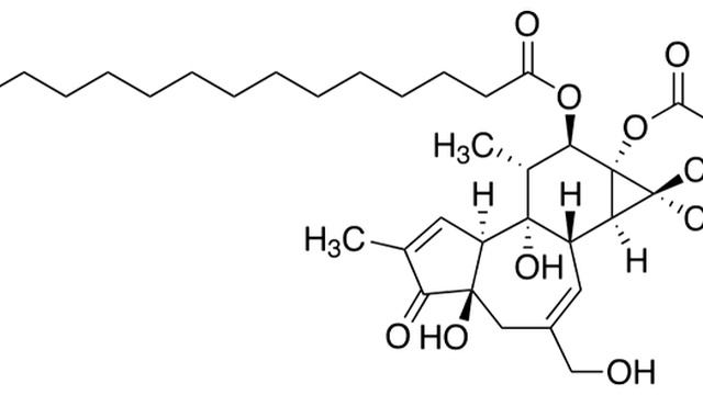 12-O-Tetradecanoylphorbol-13-acetate | Wikipedia audio article смотреть онлайн