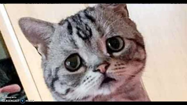 решайте! УДАЛЯТЬ канал или НЕТ! смотреть онлайн