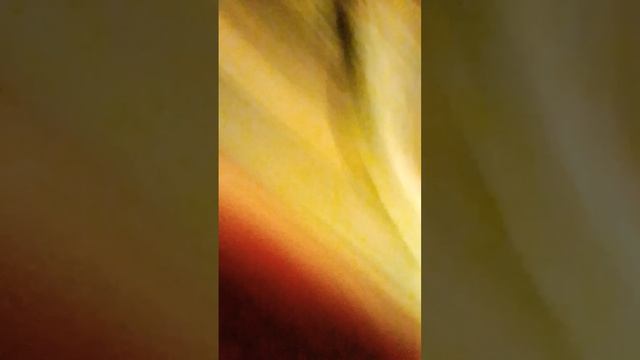 конечно же чуть-чуть опоздала и потом телефон всё-таки упал смотреть онлайн