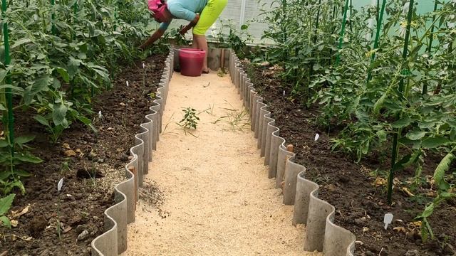 Применили мох на даче/ Заброшенная дача #дача #огород #сибирь #грядки#заброшеннаядача смотреть онлайн