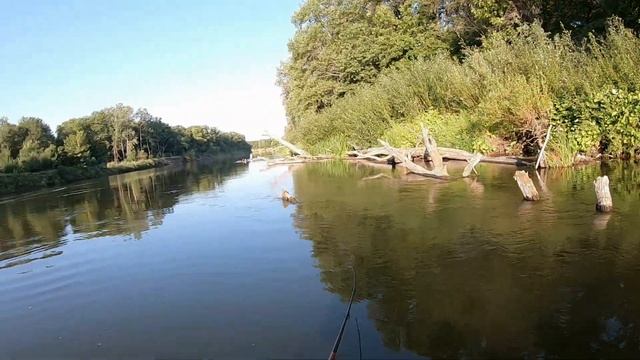 Рыбалка на Хопре на блесну) смотреть онлайн