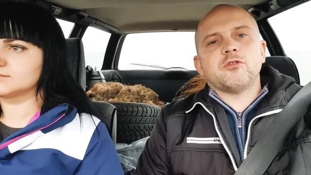 Нашёл жениха своим красоткам.Купил эдильбаевского барана и овцу .Перевёз всех овец на хутор в лесу смотреть онлайн