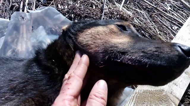 Лорд смотреть онлайн