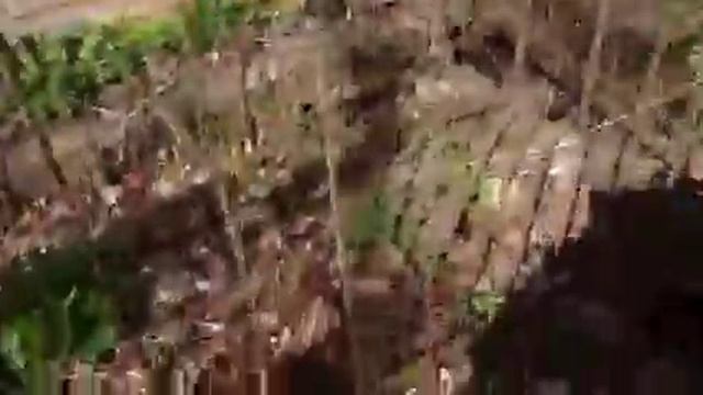 Праправнук. Пушкина здесь захоронен смотреть онлайн