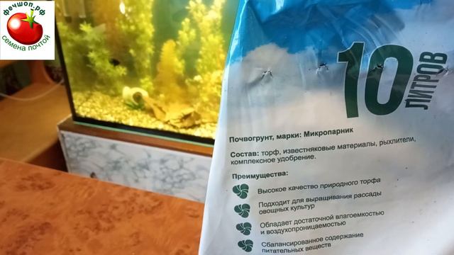 Никогда не садите помидоры в такой грунт! смотреть онлайн