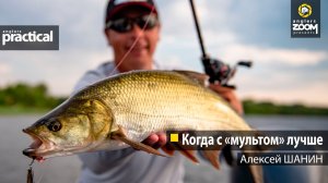 Когда с 'мультом' лучше. Алексей Шанин