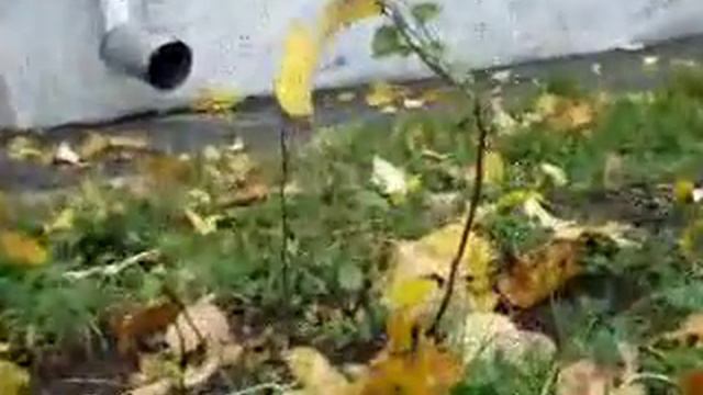 Притча раввина смотреть онлайн