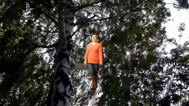 Старые сосны,березки да ели смотреть онлайн