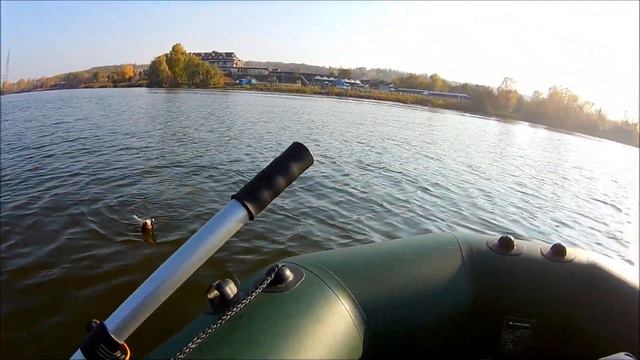 Отчёт о ловле судака! р. Днепр. г. Кременчуг. 19.10.2019 смотреть онлайн