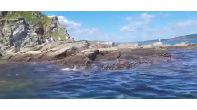 Отдых у моря/остров Клыкова/Владивосток смотреть онлайн