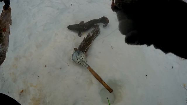 НАЛИМ ПОШЕЛ!!НОЧУЕМ НА РЕКЕ!!Часть первая! смотреть онлайн