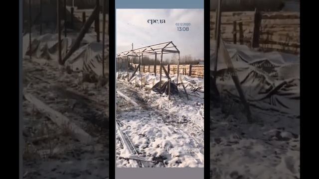 Садовый модульный каркасный домик 6х6,9м "Прованс". смотреть онлайн