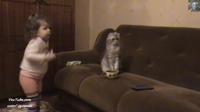 Дневник кота Тихона ч.3 смотреть онлайн