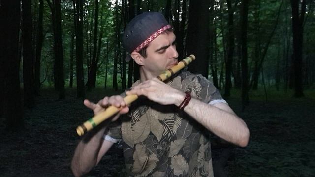 Полет фантазии на флейте бансури смотреть онлайн