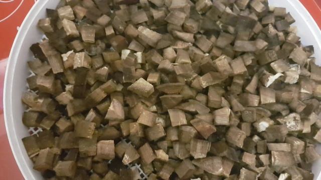 Дедалеопсис бугристый Daedaleopsis confragosa Практическое пособие по обработке для лечебных целей смотреть онлайн