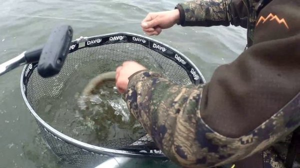 Ловля щуки на Keitech Mad Wag 7. Пруд Престень