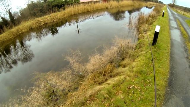 7 Days/ Day 1: Fishing & Feeding Pike, Lures vs Deadbait. 7 Дней/ День 1: щука, рыбалка и кормление смотреть онлайн