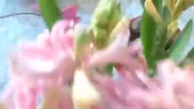 Подарки от мужа на 8 Марта смотреть онлайн