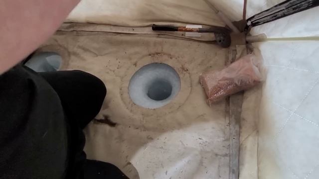 дикий клев окуня и налимов за саяно-шушенской гэс зимой.