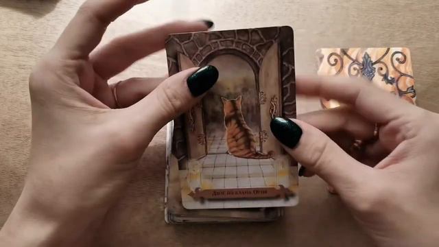Обзор таро Мистических Кошек ( Mystical Cats Tarot ) смотреть онлайн