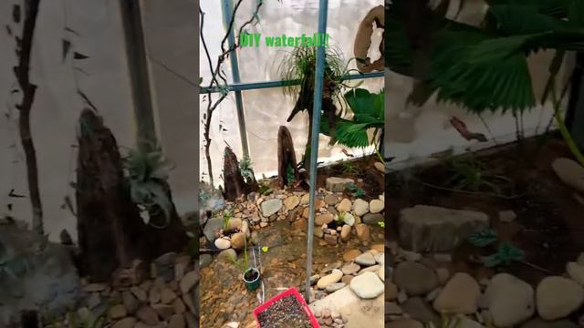 We Built an Indoor Waterfall from Scratch!💦 | DIY #waterfall #waterfeature смотреть онлайн